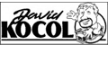 David Kocol, LLC Logo with caption, Thanks for letting us know about the FREE Small Business Academy, David!